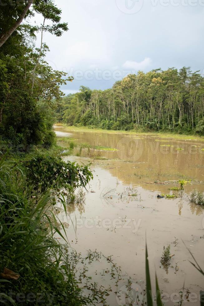 Dirty river in the countryside seen from the side photo