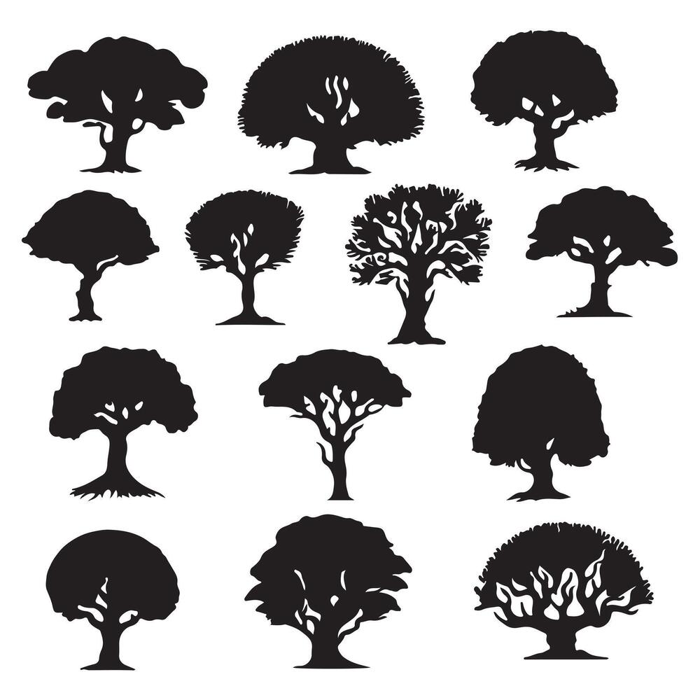 various deciduous trees silhouettes on the white background vector