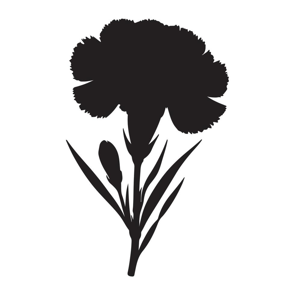 black Carnation flower silhouette with white background vector