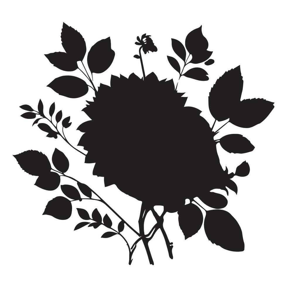 black Dahlia with branch image white background vector