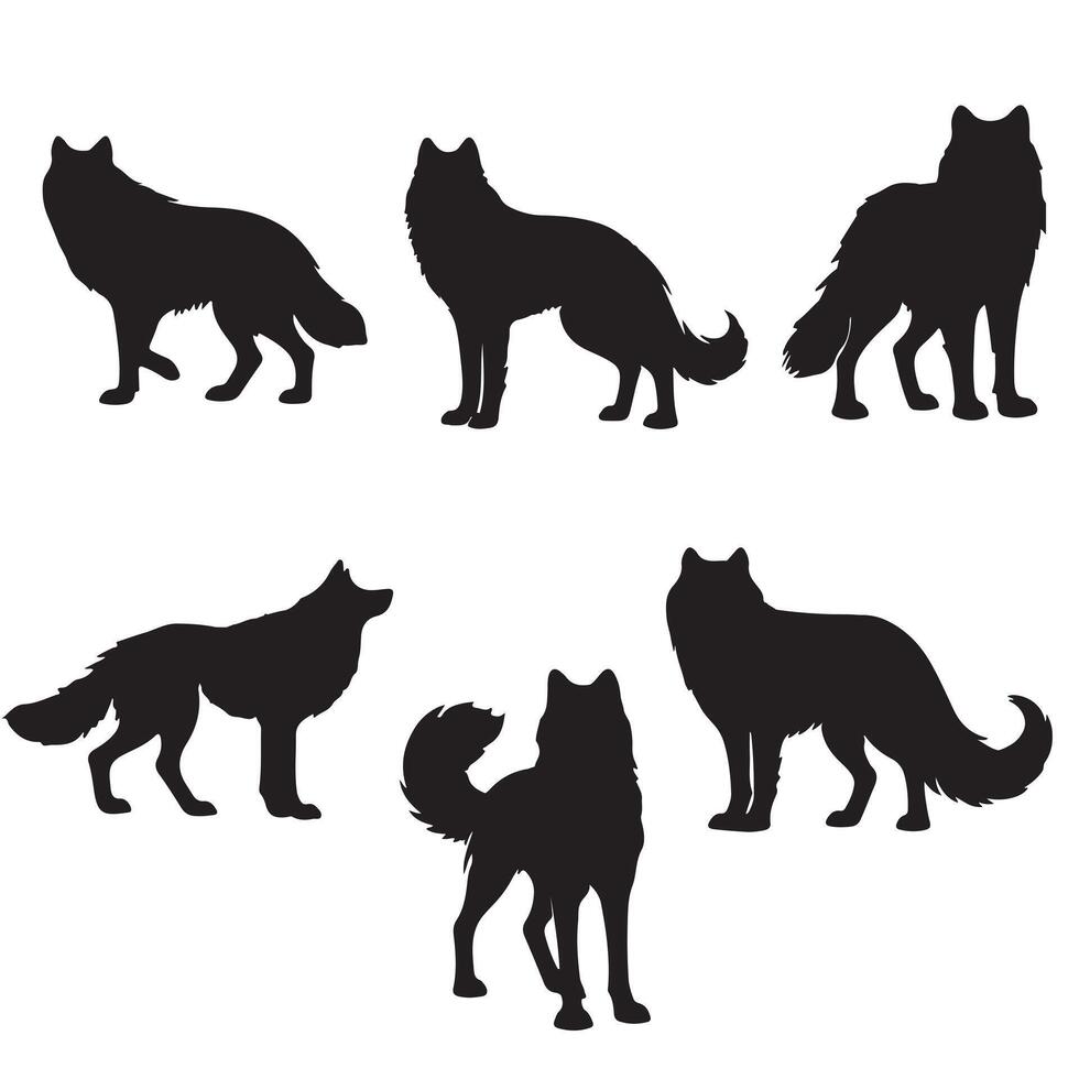 black silhouette gray wolf set vector