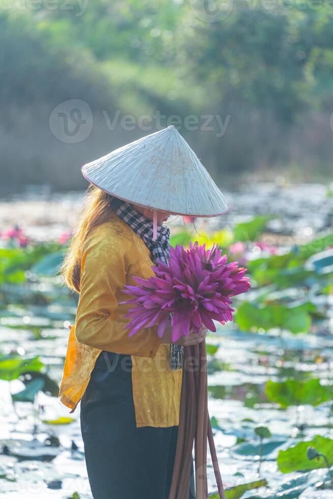 view of rural Vietnamese girl in Moc Hoa district, Long An province, Mekong Delta are harvesting water lilies. Water lily is a traditional dish here. photo