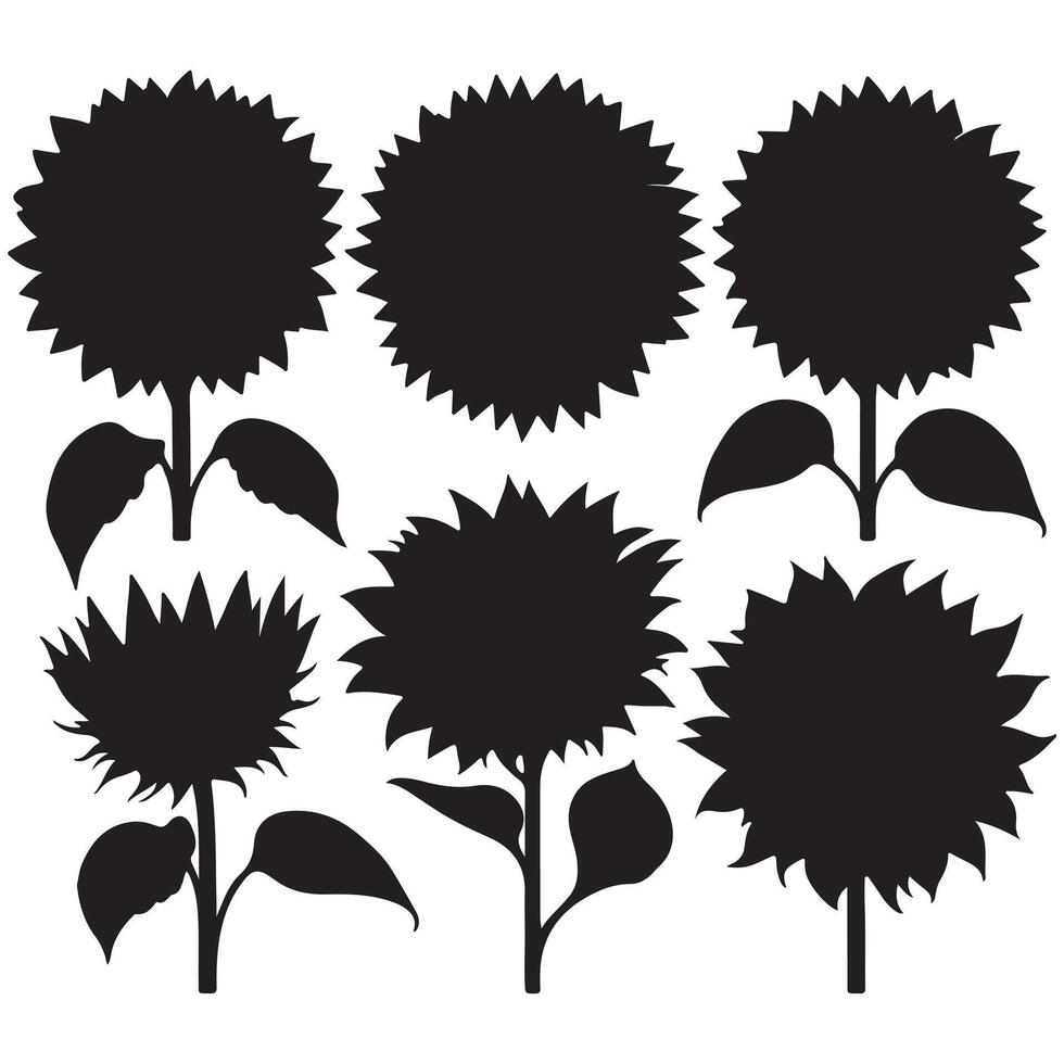 black Sunflower set with white background vector