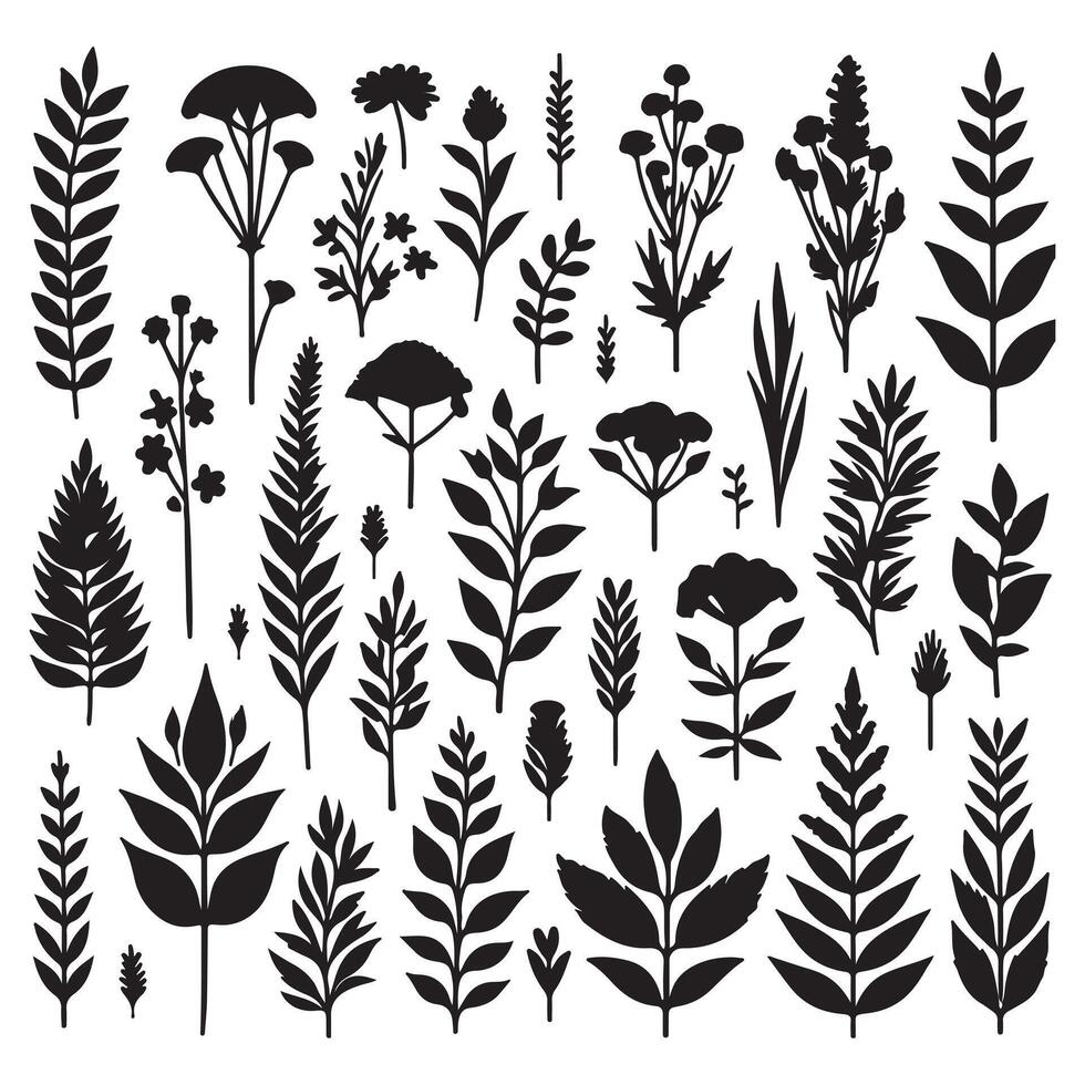 Silhouettes of plants set with white background vector