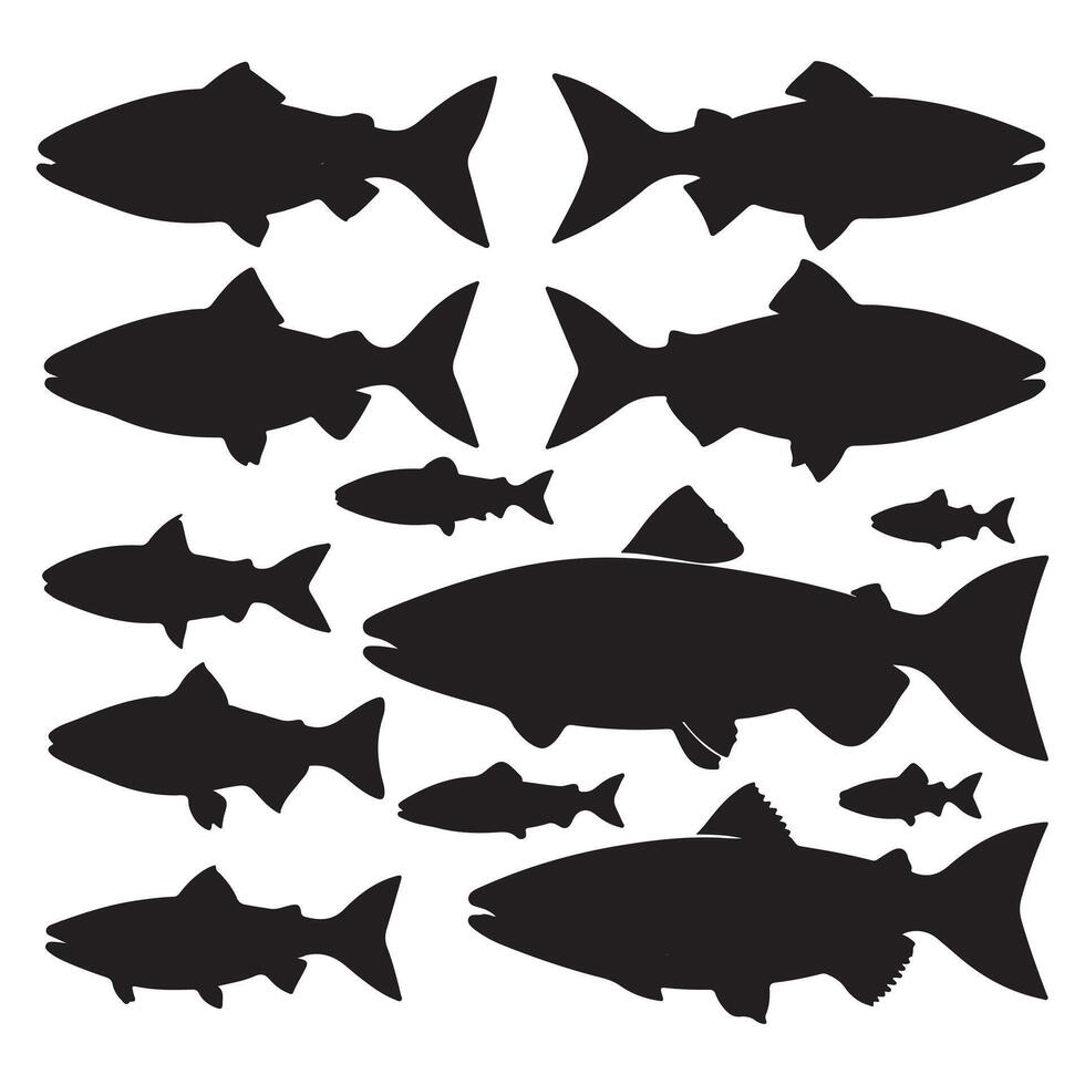 Silhouettes of salmon fish set with white background vector