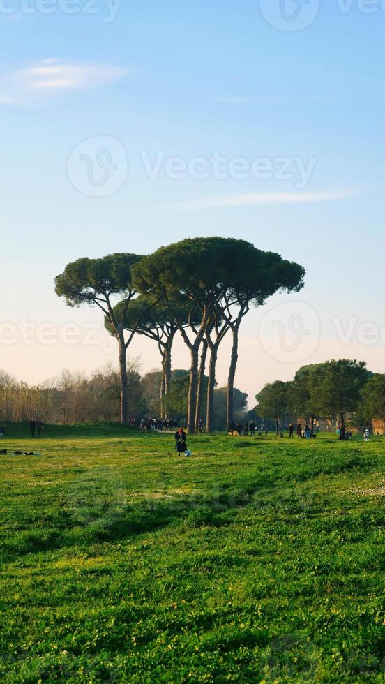 People enjoying a sunny day in the roman appian way regional park photo