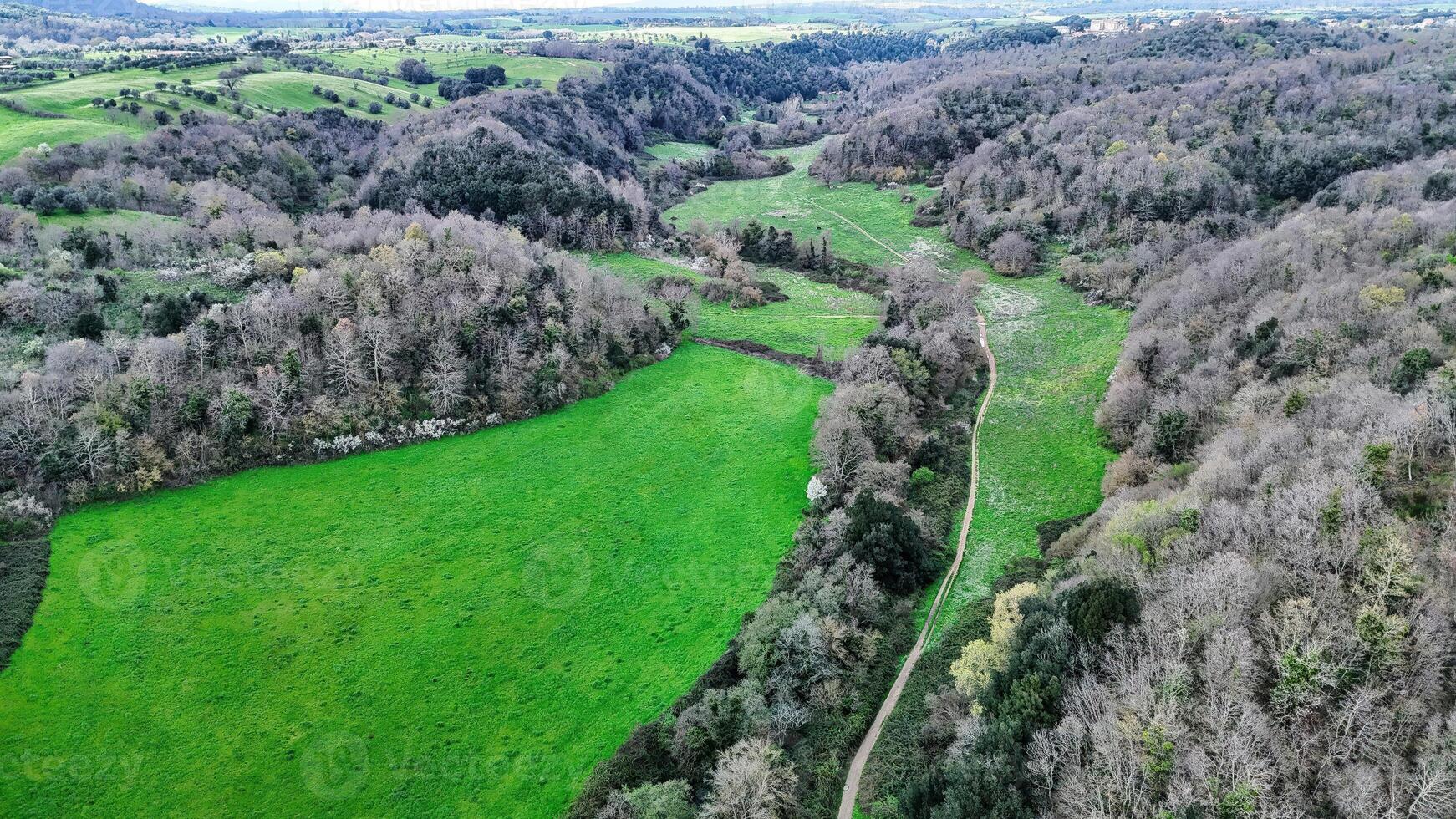 Winding dirt road separating green meadow and forest in spring photo