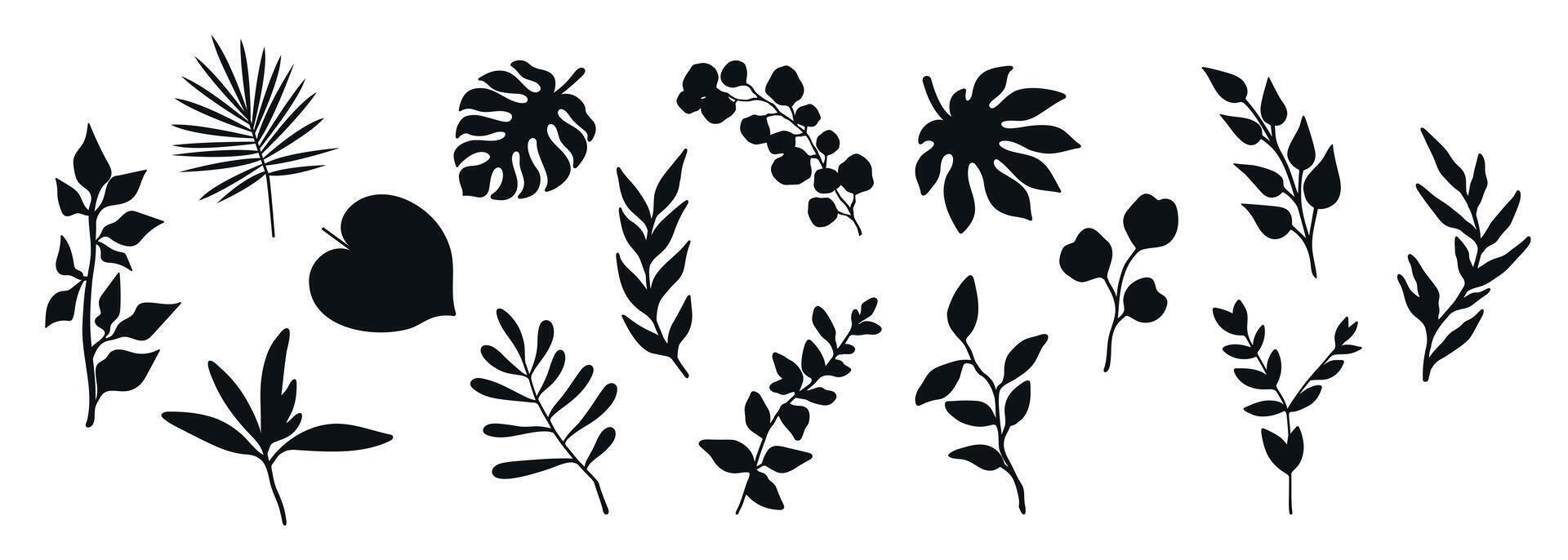 Collection of plant silhouettes. Branches, leaves and botanical elements isolated on white background vector
