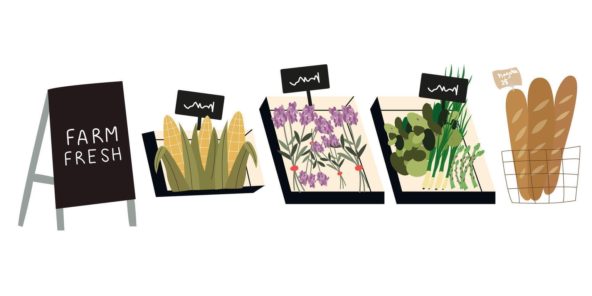 Natural farm food. Fall harvest illustrations. Autumn vegetables compositions. Flat icons of vegetables and greens vector