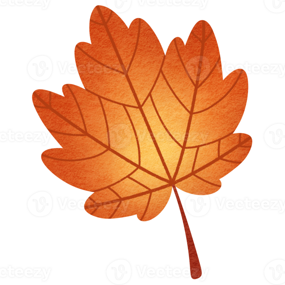 Orange Maple Leaf png