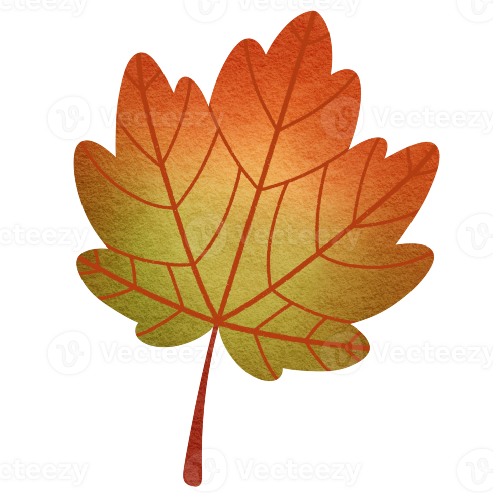Green and Orange Maple Leaf png