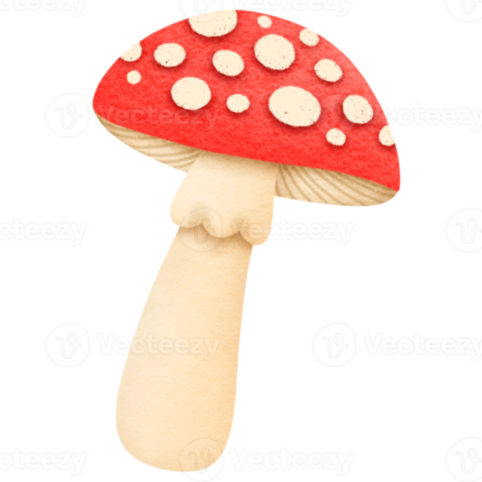 Cute Red Mushroom png