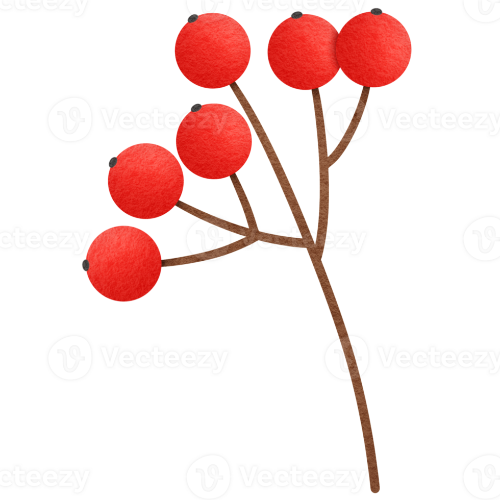 Red Rowan Berries png
