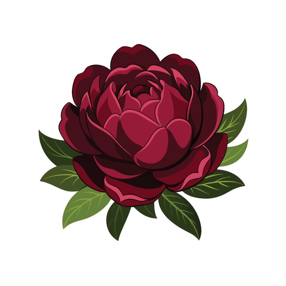 Red rose with spikes illustration 51081298 Vector Art at