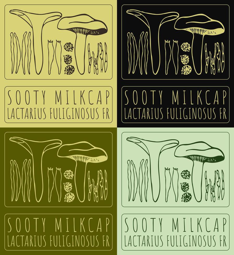 Set of drawing SOOTY MILKCAP in various colors. Hand drawn illustration. Latin name is LACTARIUS FULIGINOSUS FR. vector