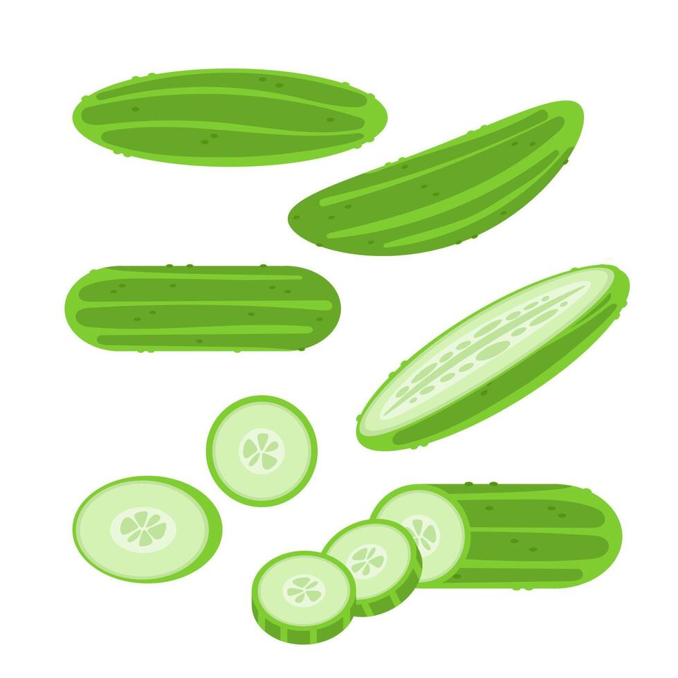 Different parts of a cucumber, whole, sliced and cut, isolated on white background vector