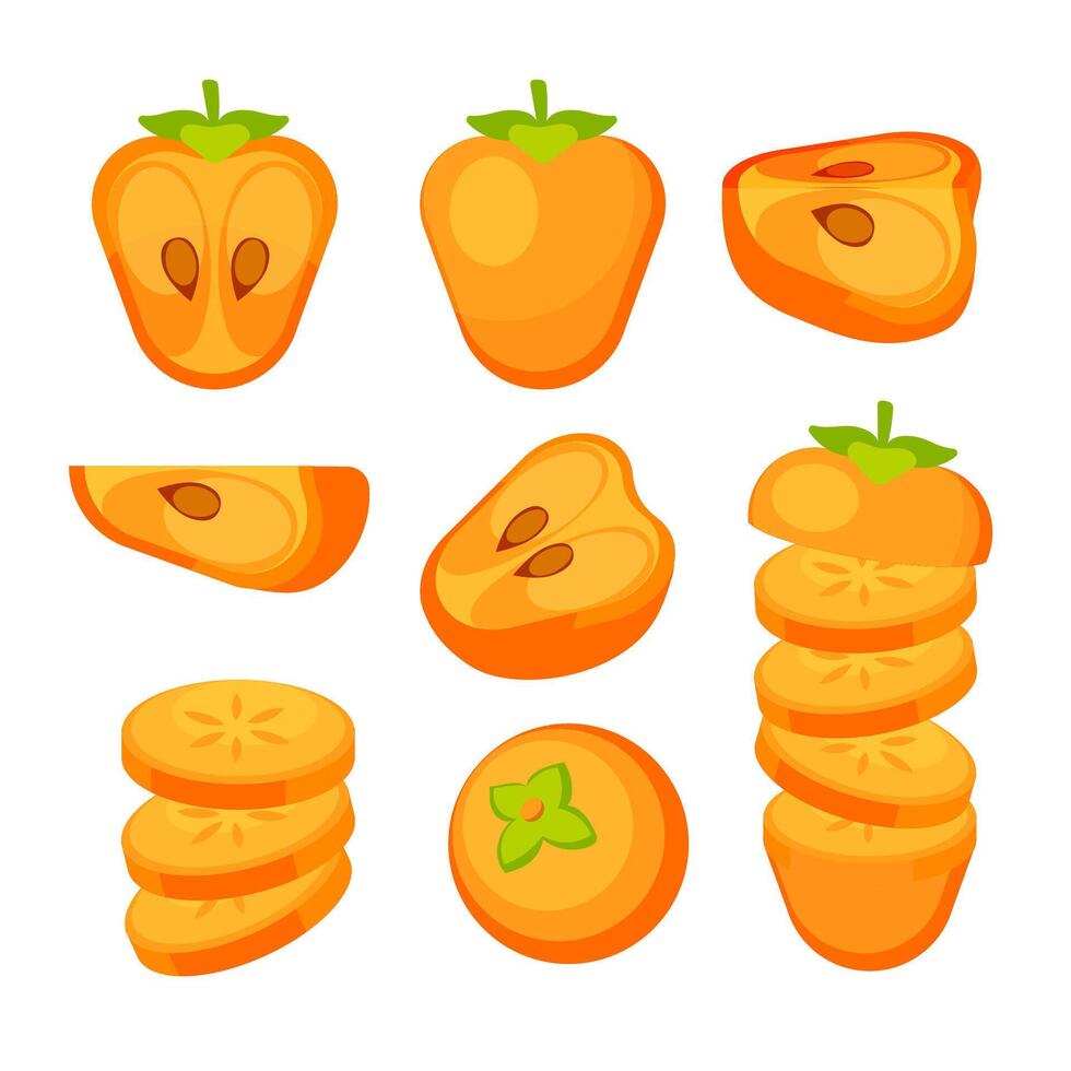 Persimmon set. Slice and whole of juicy persimmon vector