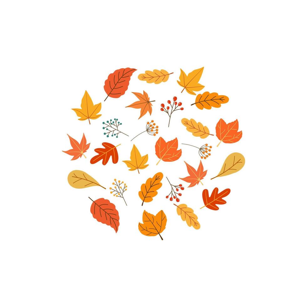 Autumn leaves posters vector