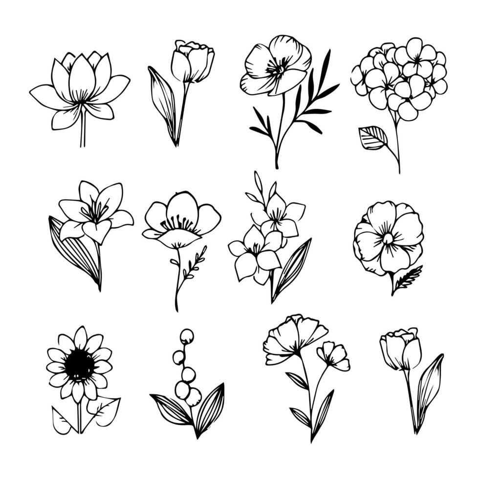 Set of hand drawn flowers. vector