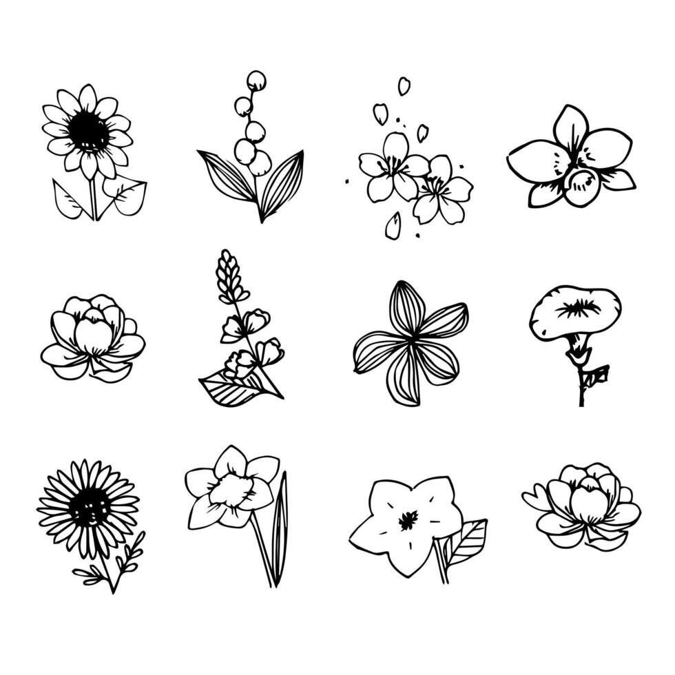 Set of hand drawn flowers. illustration vector