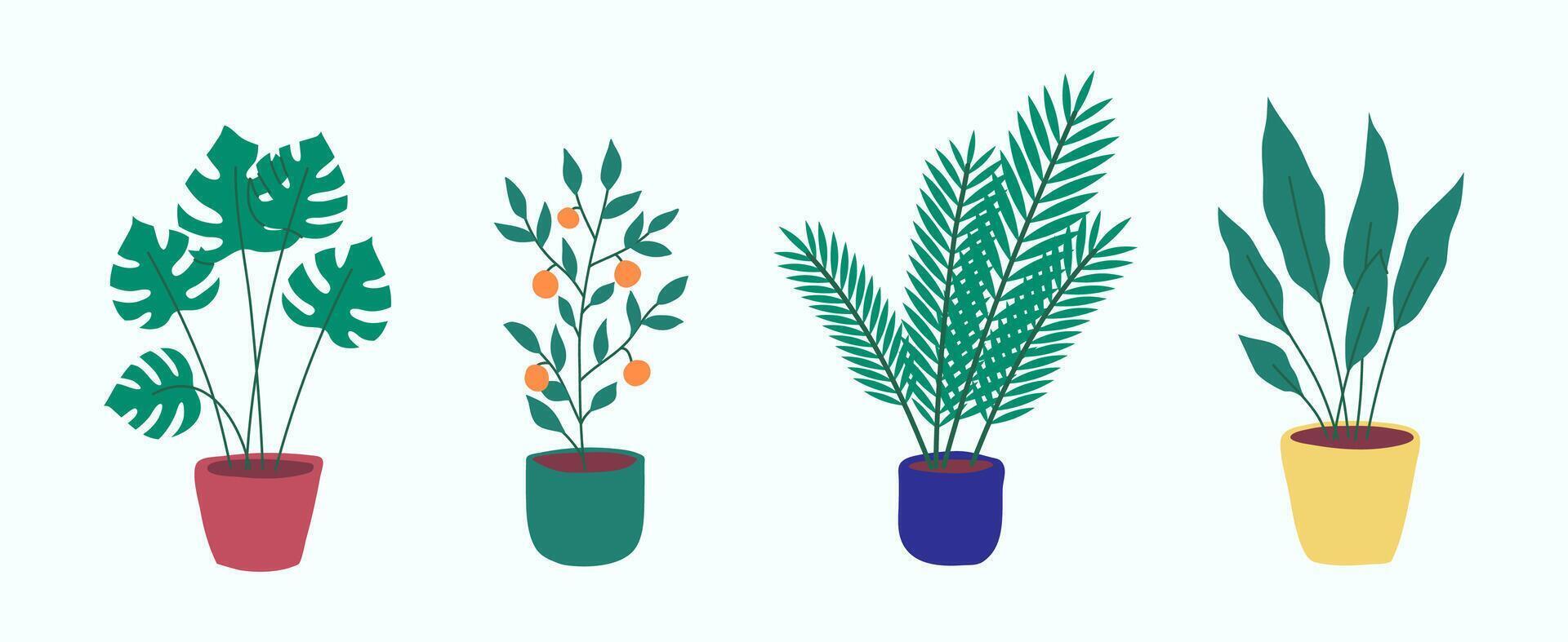 Cartoon Different Potted Plants Collection. vector