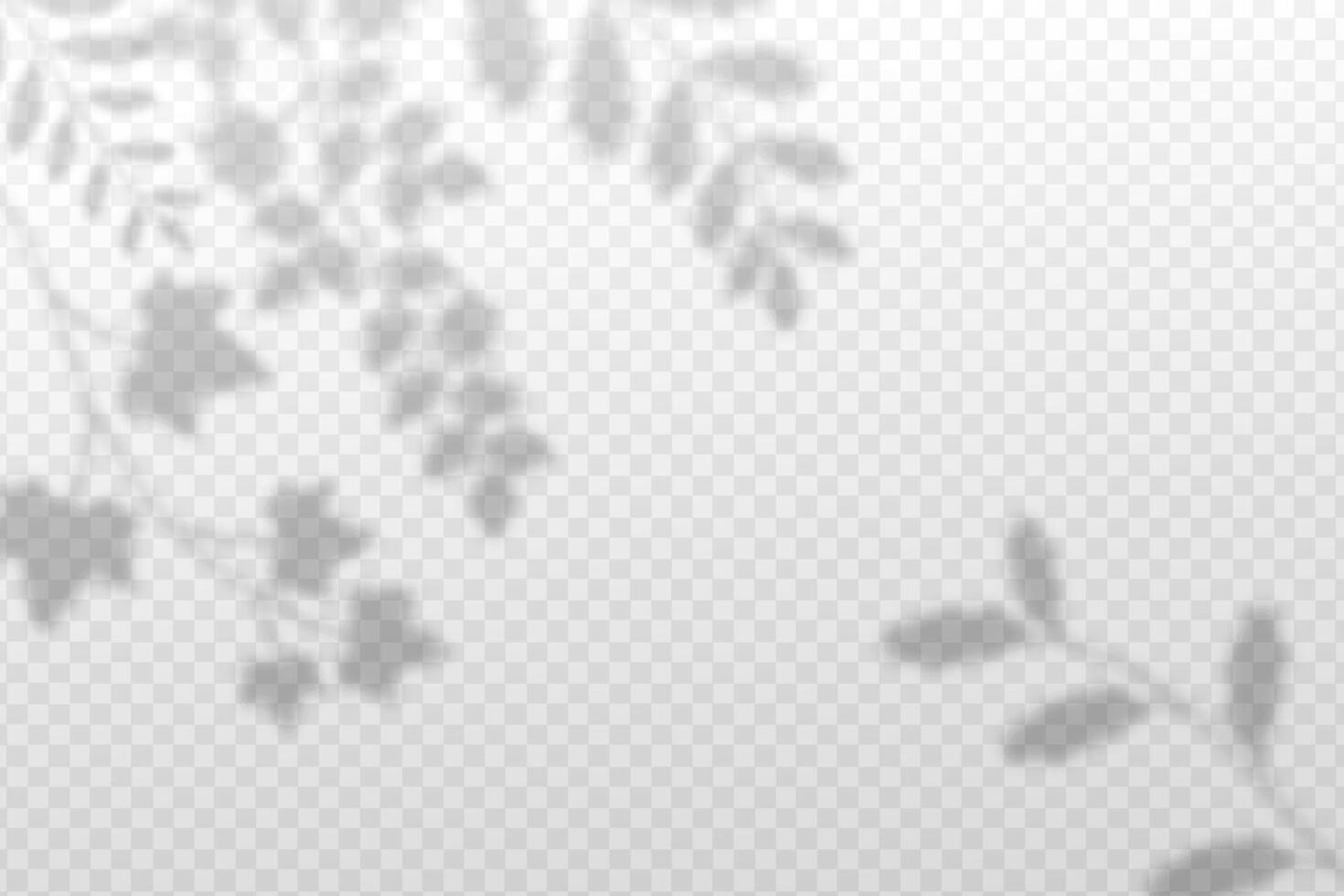 Minimalist blurred frame of leaves and branches with shadow effect. vector