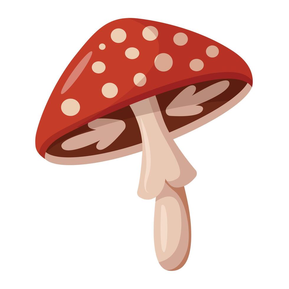 Fly agaric. Poisonous mushroom. vector