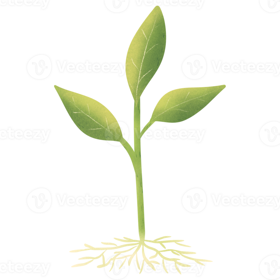 Soil and trees, seedlings, soil for planting trees, Illustration of garden, hand drawing png
