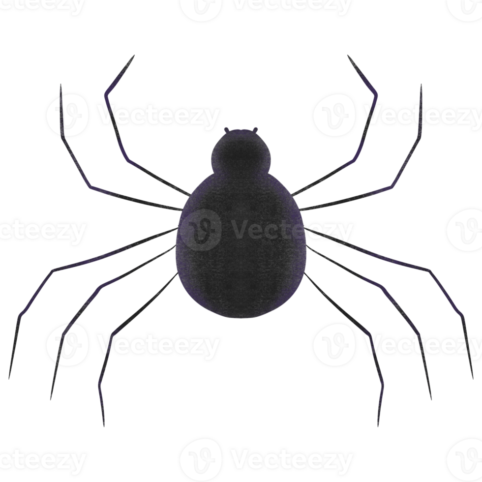 spider and web on Halloween day spooky day Set of hand drawn illustrations. png