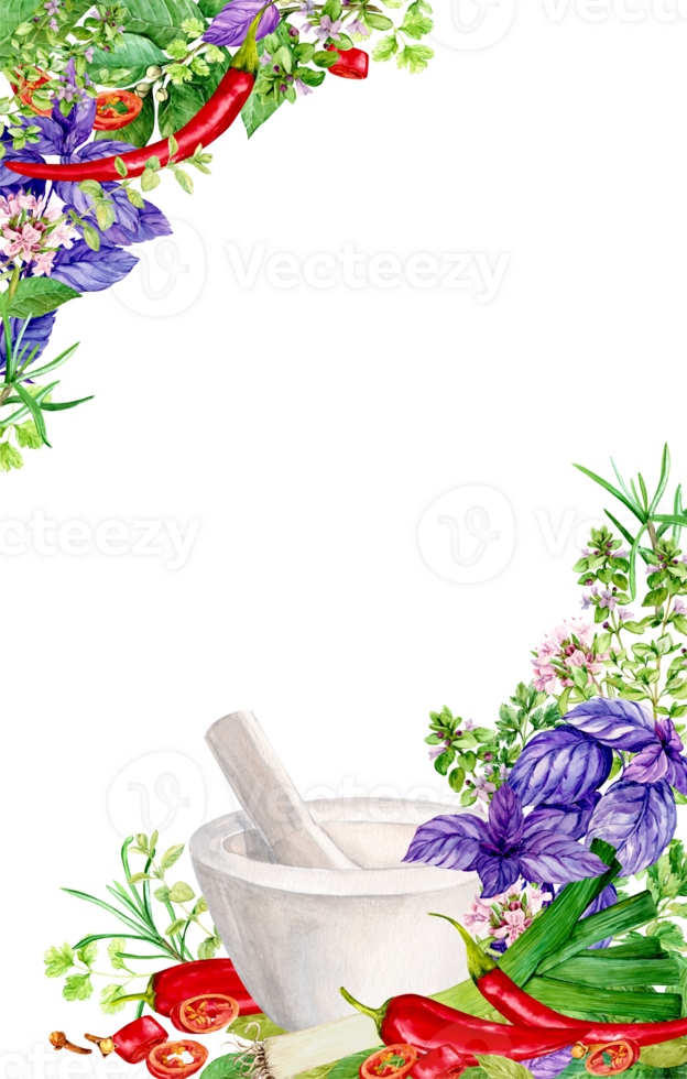 Vertical banner with kitchen herbs, white mortar and place for text. Watercolor illustration. Bay leaf, rosemary, tarragon, savory, basil, chili pepper, leek, rosemary. Italian spices in rustic style. png
