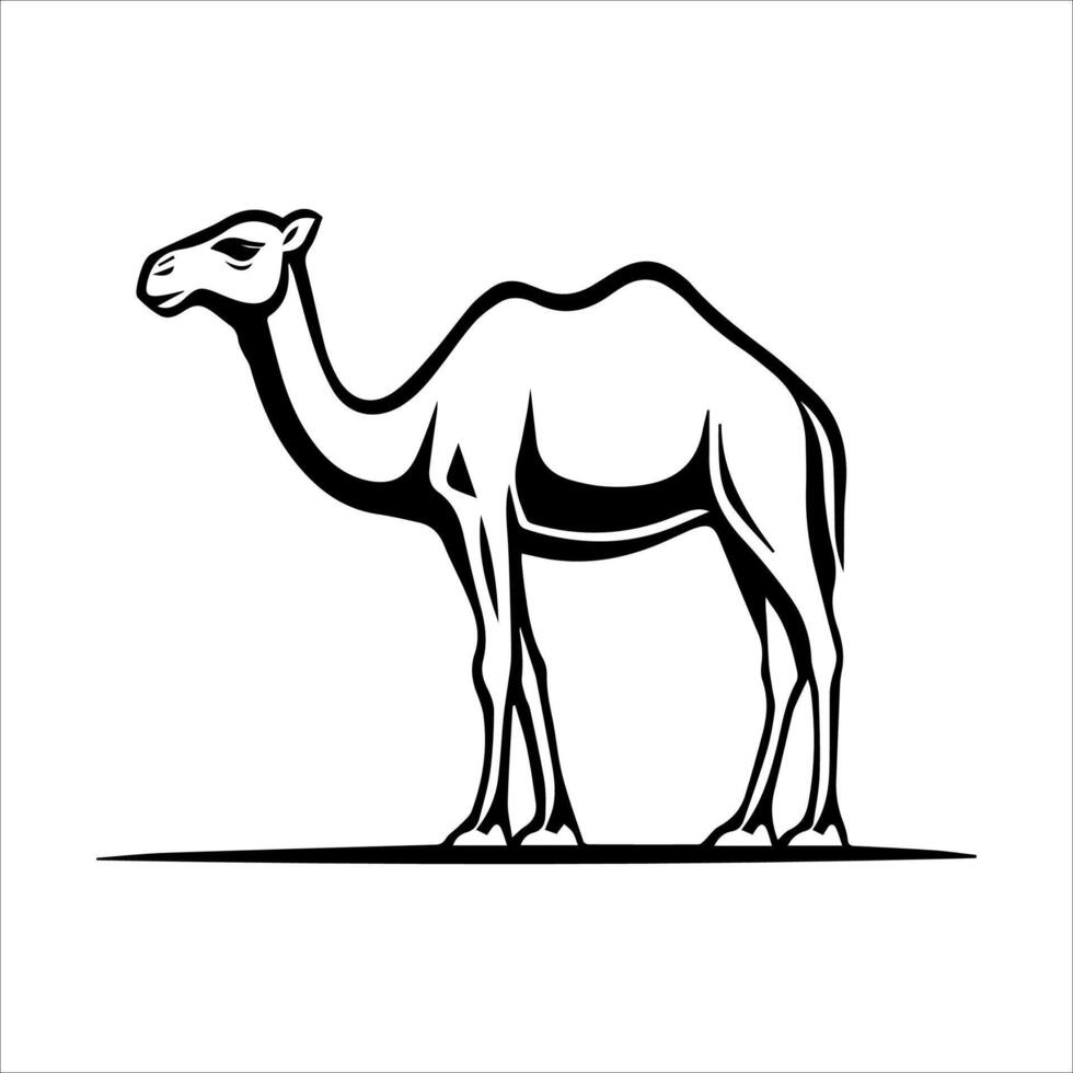 A camel is standing in a line on a white background vector