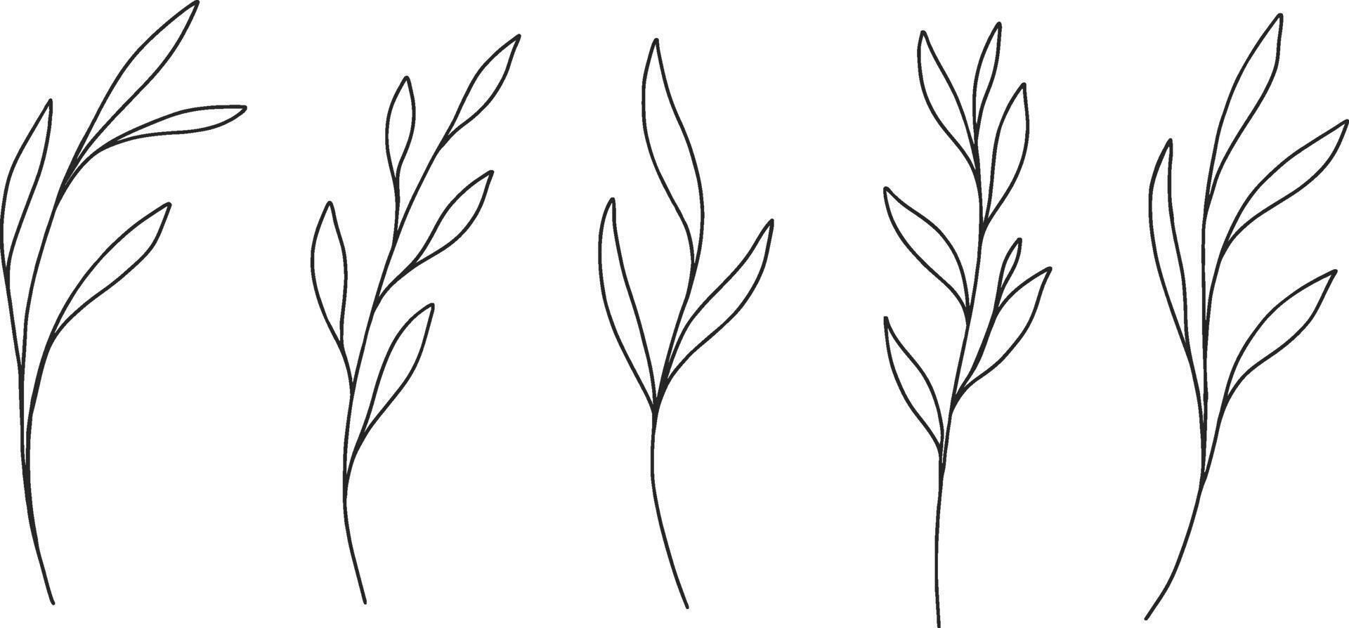 Autumn brown outline doodle set with leaves. Monochrome botanical contour stickers. clipart of sketchy drawings isolated on white background vector