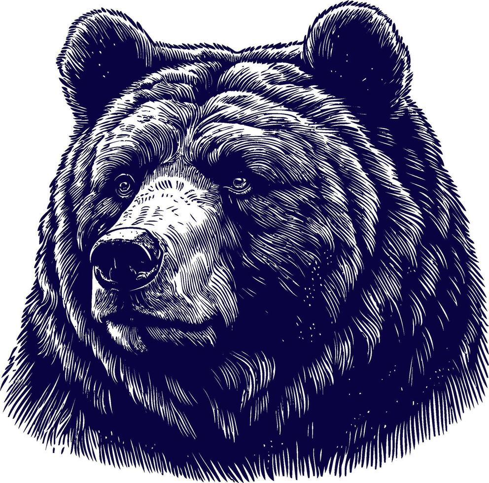 Fierce Bear Face Graphic vector