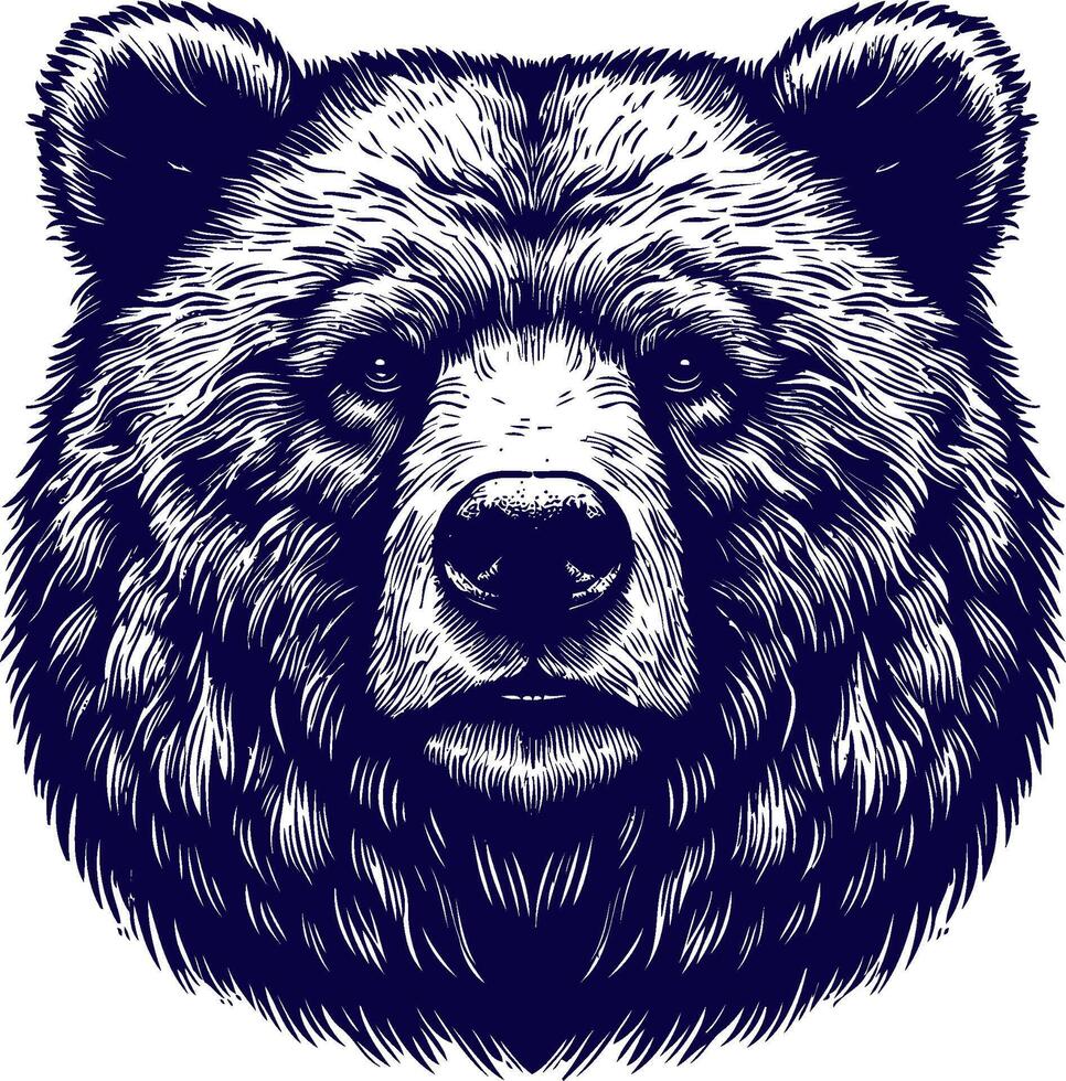 Bold Bear Face Illustration vector
