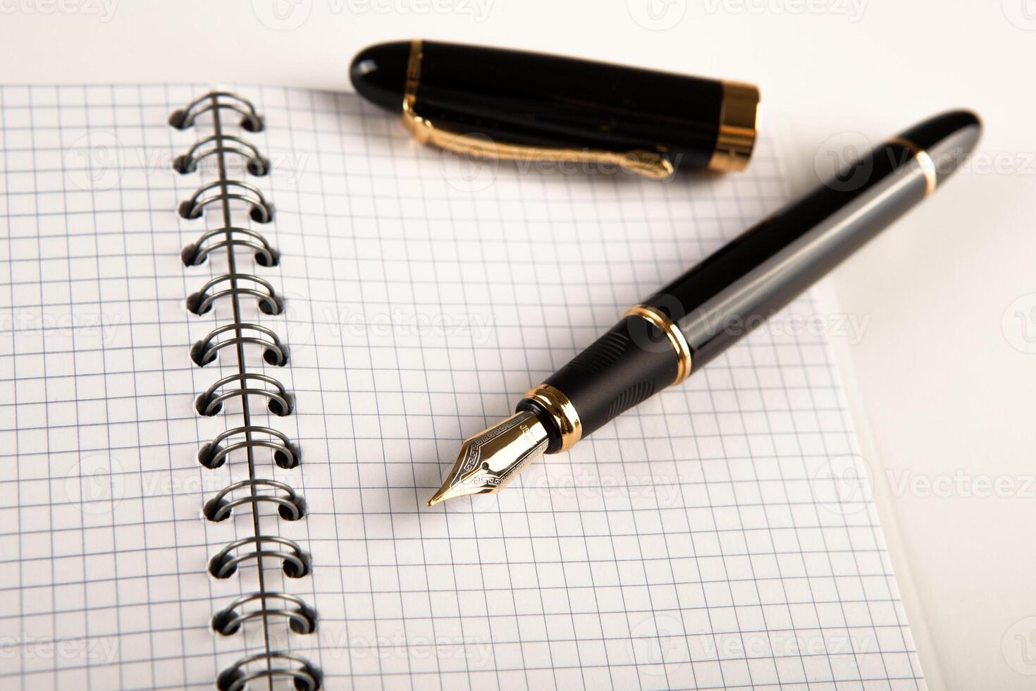 diary with fountain pen 12 photo