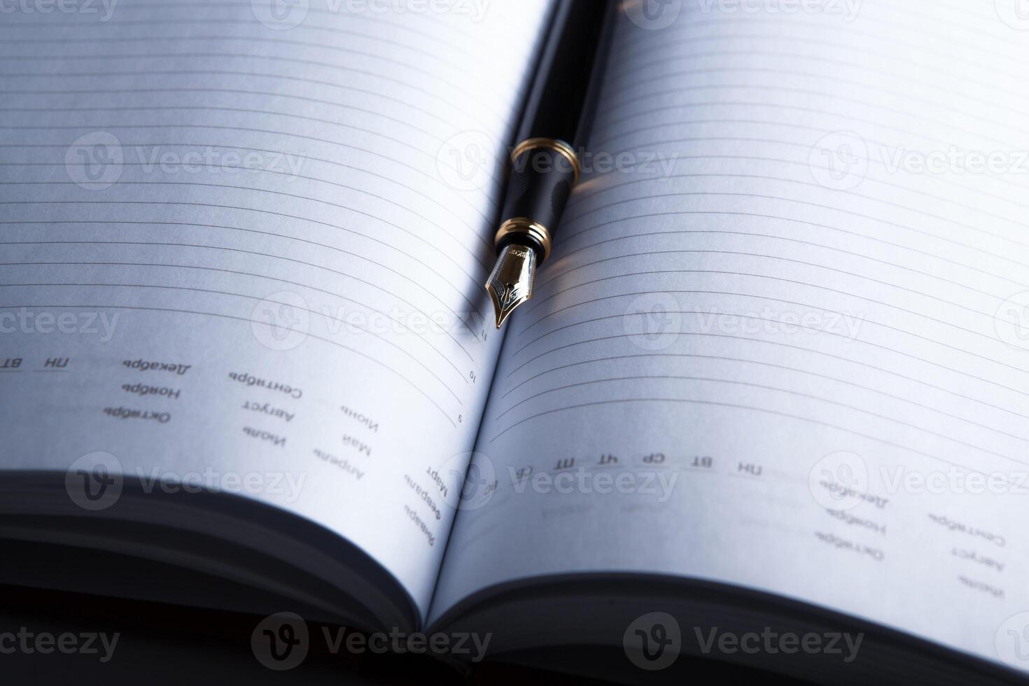 diary with fountain pen photo