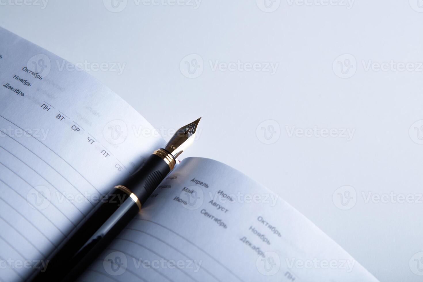 diary with fountain pen 9 photo