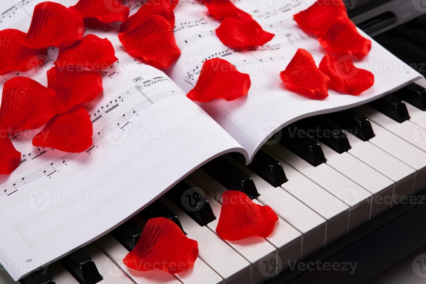 Piano keys and musical book photo