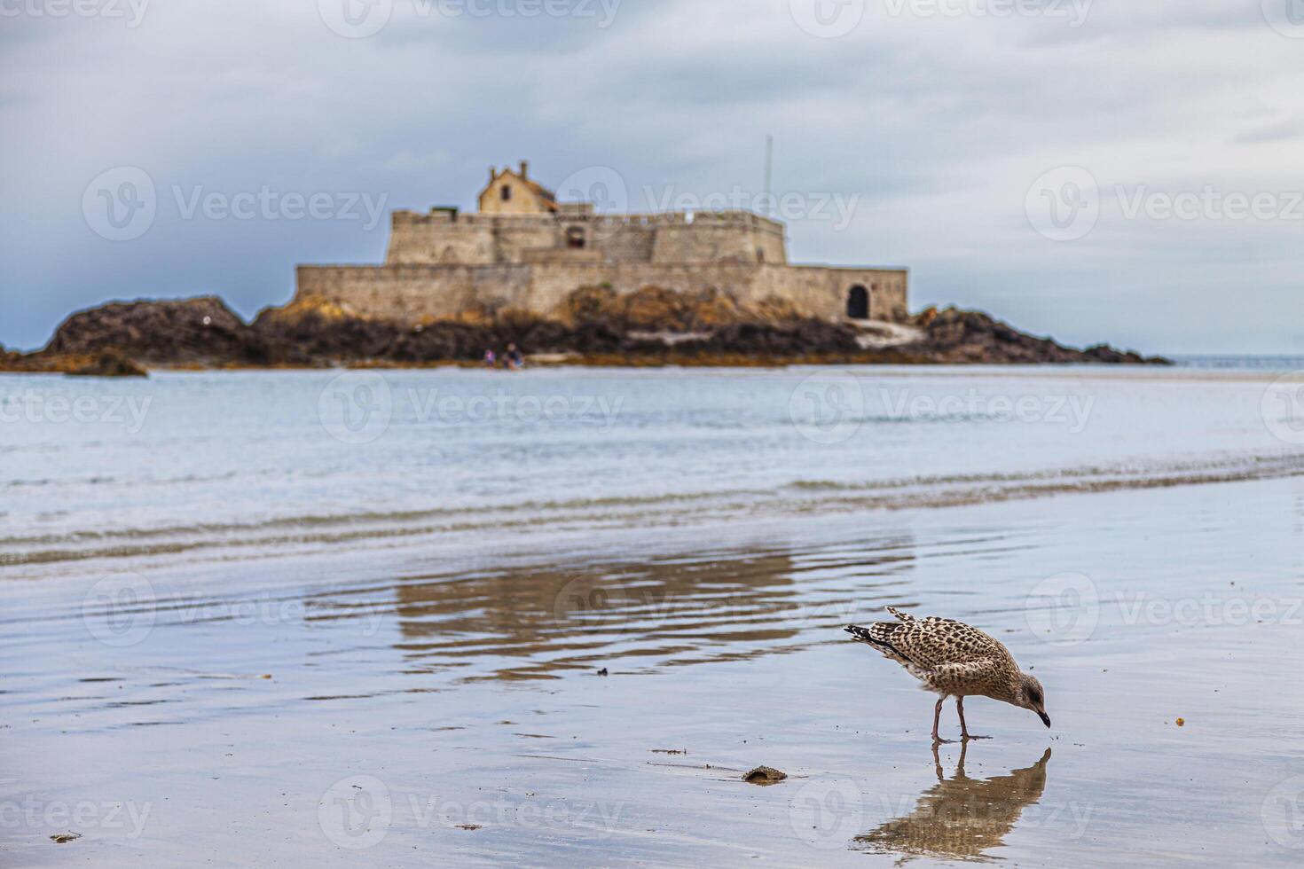 andscape of a medieval fortress on the French coast seen at low tide photo