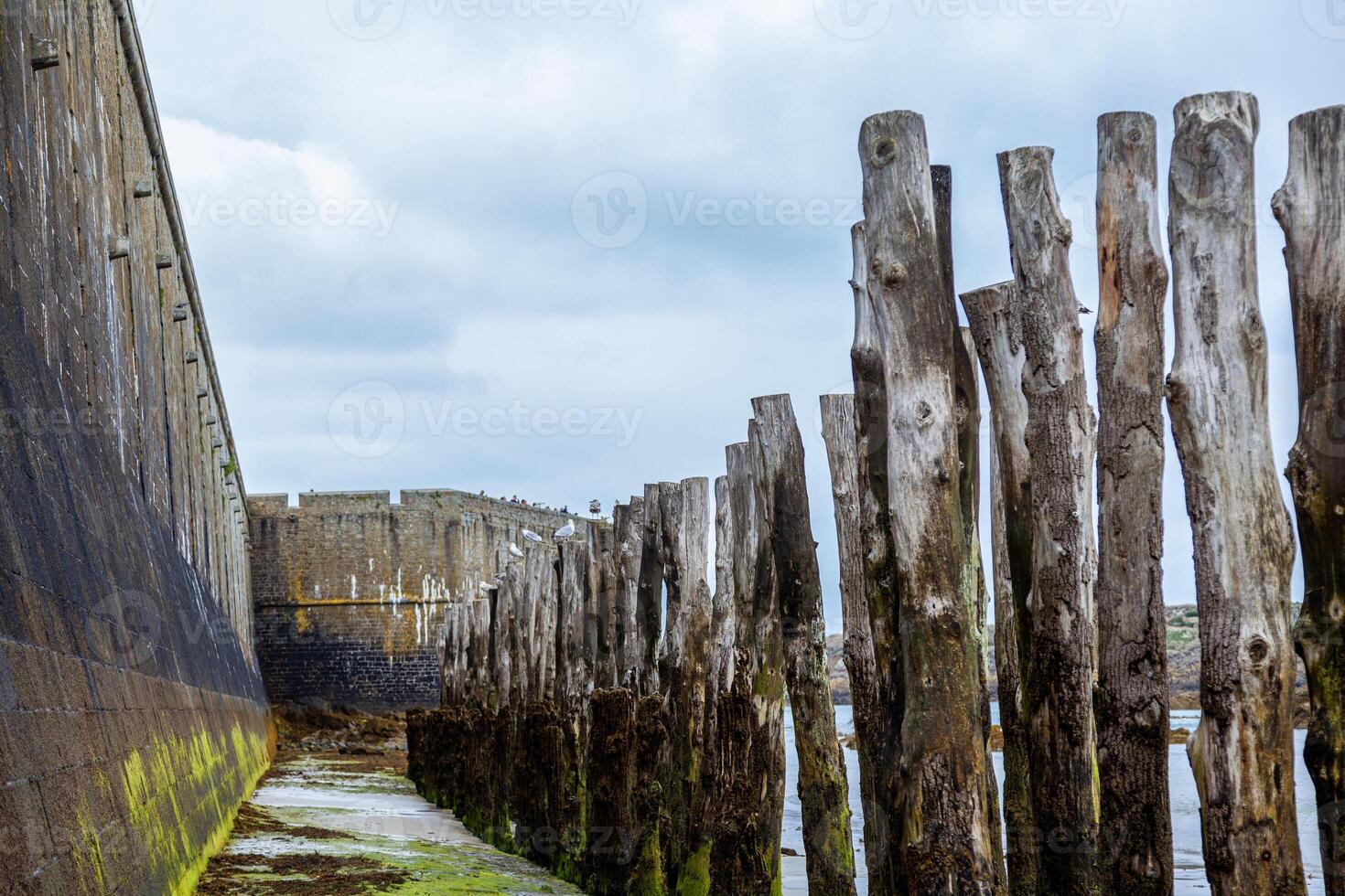 breakwater line on the beach in front of the walls of saint malo at low tide photo