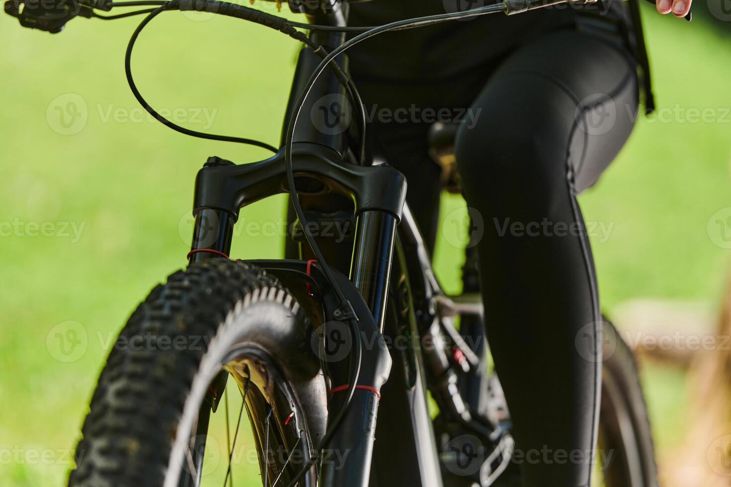 A sports bicycle races through the park, its components in focused motion spinning wheels, agile pedals, and sleek handlebars creating a dynamic spectacle of athleticism and speed against the backdrop photo