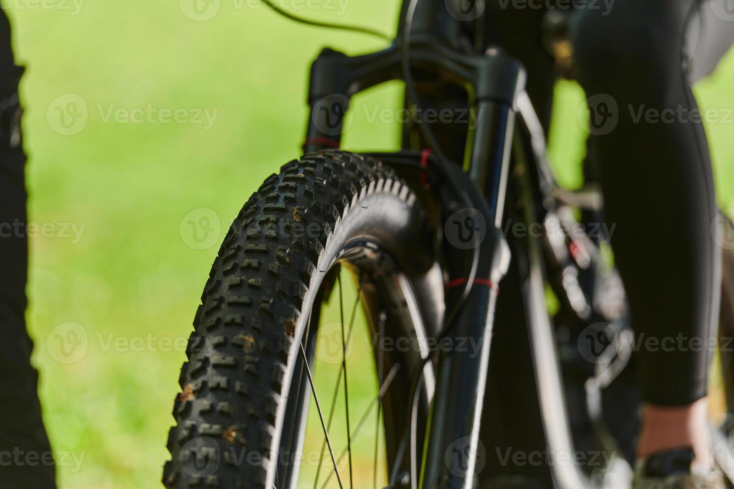 A sports bicycle races through the park, its components in focused motion spinning wheels, agile pedals, and sleek handlebars creating a dynamic spectacle of athleticism and speed against the backdrop photo