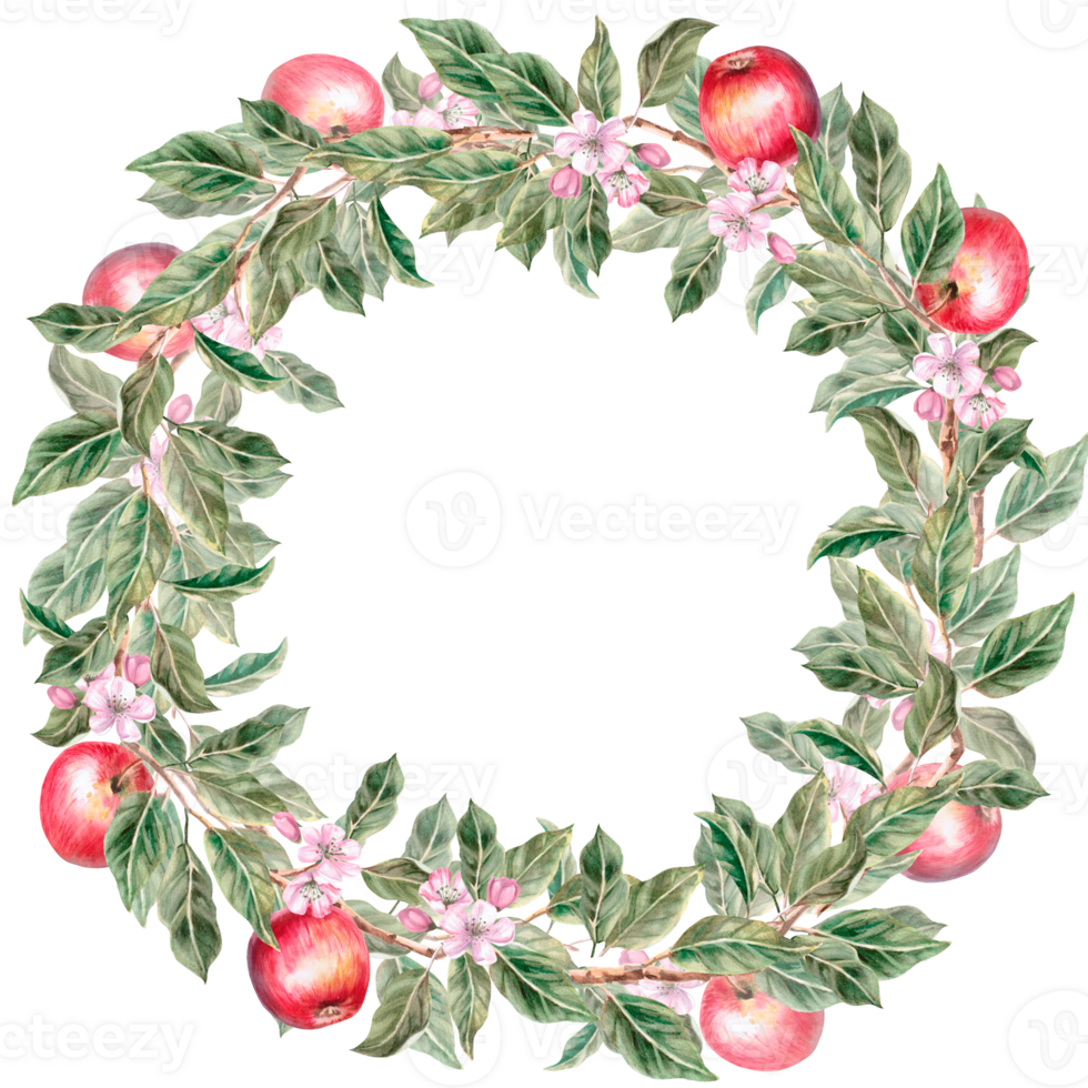 Round wreath of variegated leaves and ripe apples. Isolated watercolor illustration for farm fruit design, agricultural fairs, organic product packaging. Harvesting in an orchard png