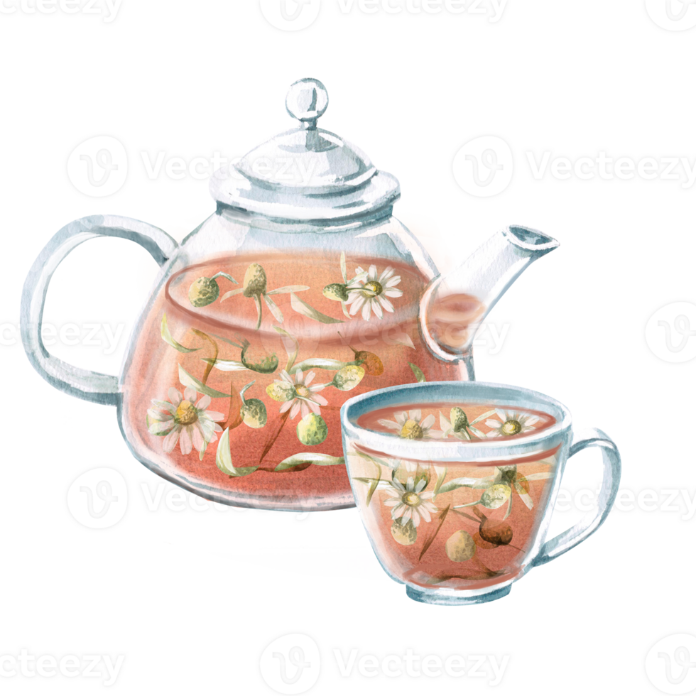 Transparent set. a kettle and a cup with chamomile tea in watercolor. Isolated illustration for the design of tea ceremonies, cafes, shops, posters, culinary books png