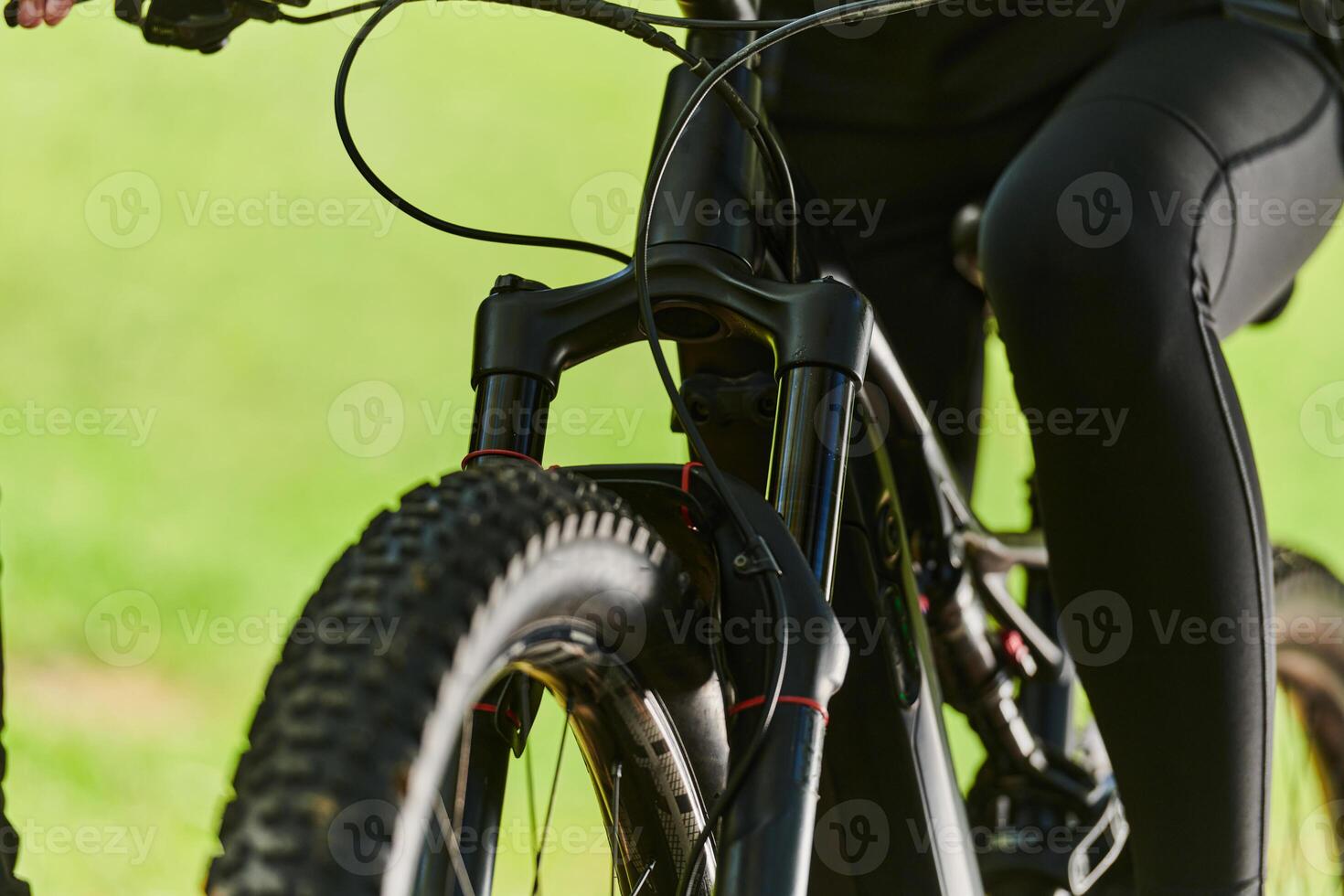 A sports bicycle races through the park, its components in focused motion spinning wheels, agile pedals, and sleek handlebars creating a dynamic spectacle of athleticism and speed against the backdrop photo