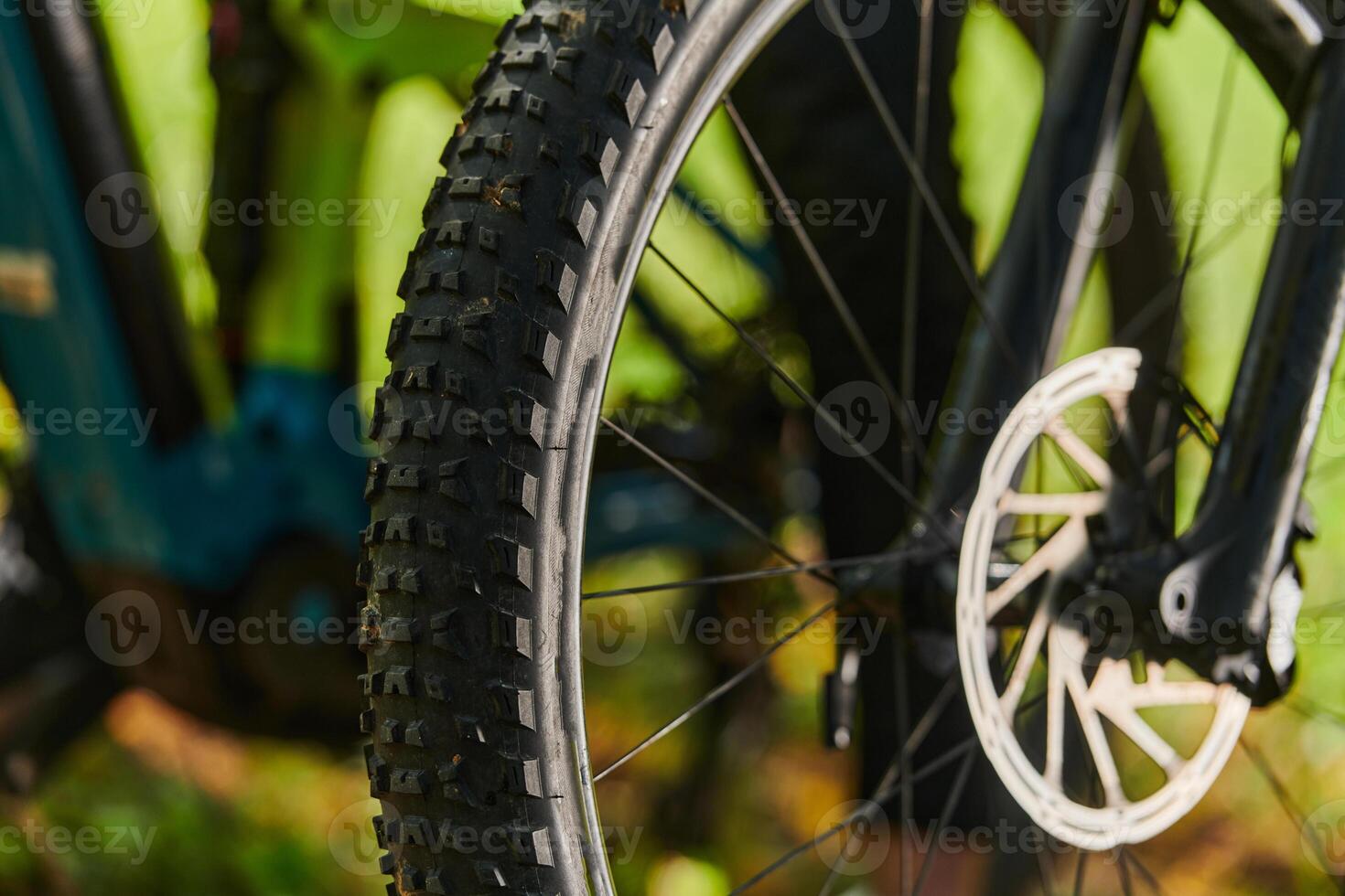 A sports bicycle races through the park, its components in focused motion spinning wheels, agile pedals, and sleek handlebars creating a dynamic spectacle of athleticism and speed against the backdrop photo