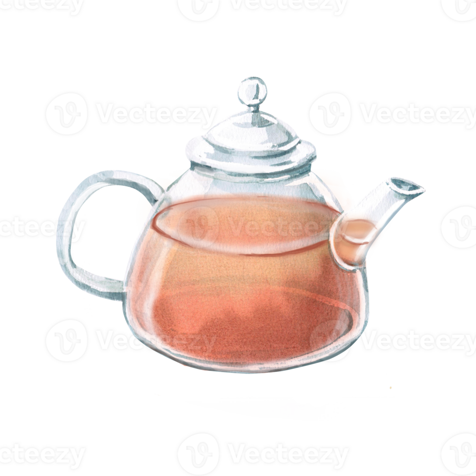 Transparent teapot with tea inside in watercolor. Isolated illustration in realistic style for design of menu of restaurants, cafes, tea shops, cookbooks. Tea ceremony png