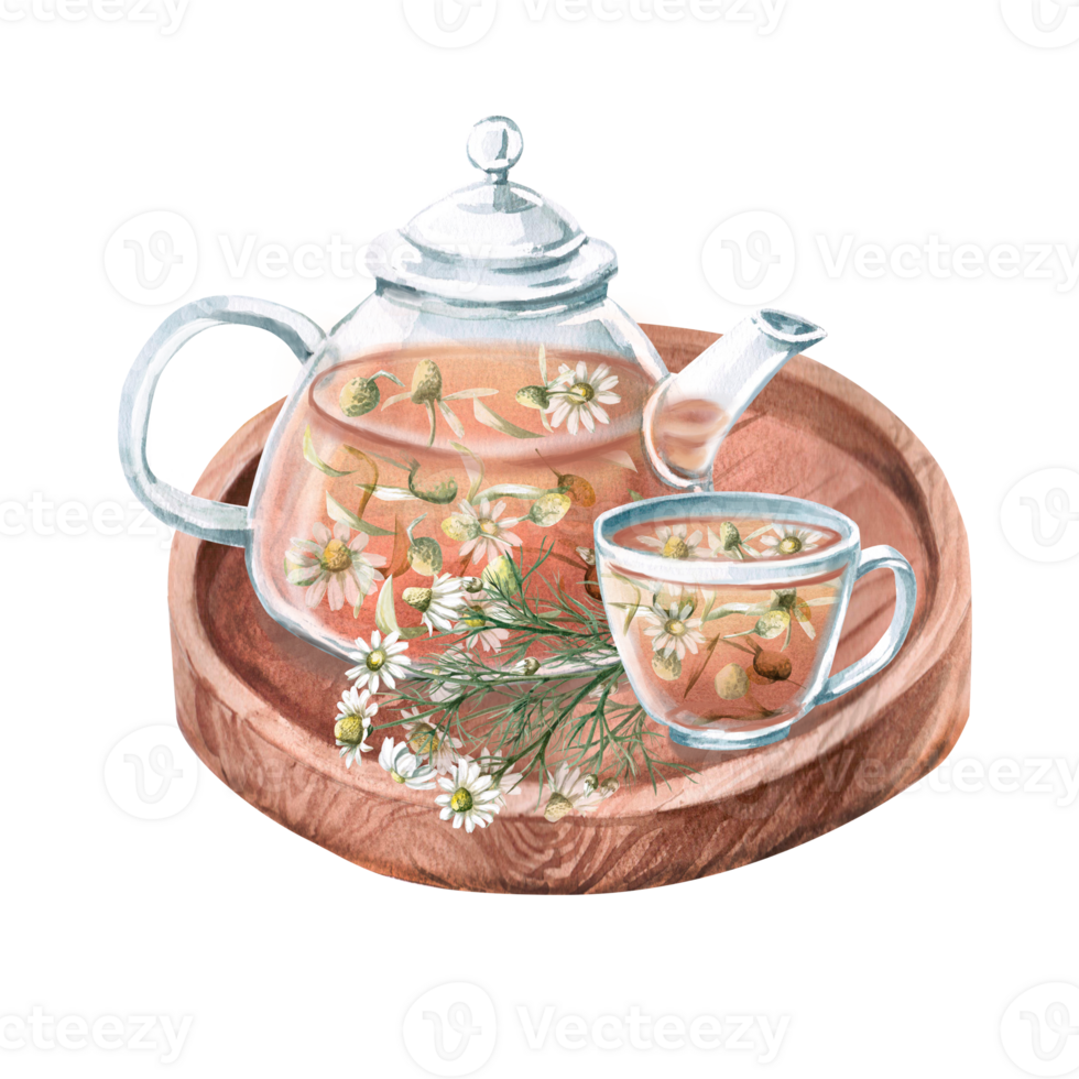 Composition of transparent teapot and cup with chamomile tea and bouquet on wooden tray. Isolated watercolor illustration for design of tea ceremonies, cafes, tea shops, posters, tonic tea collections png