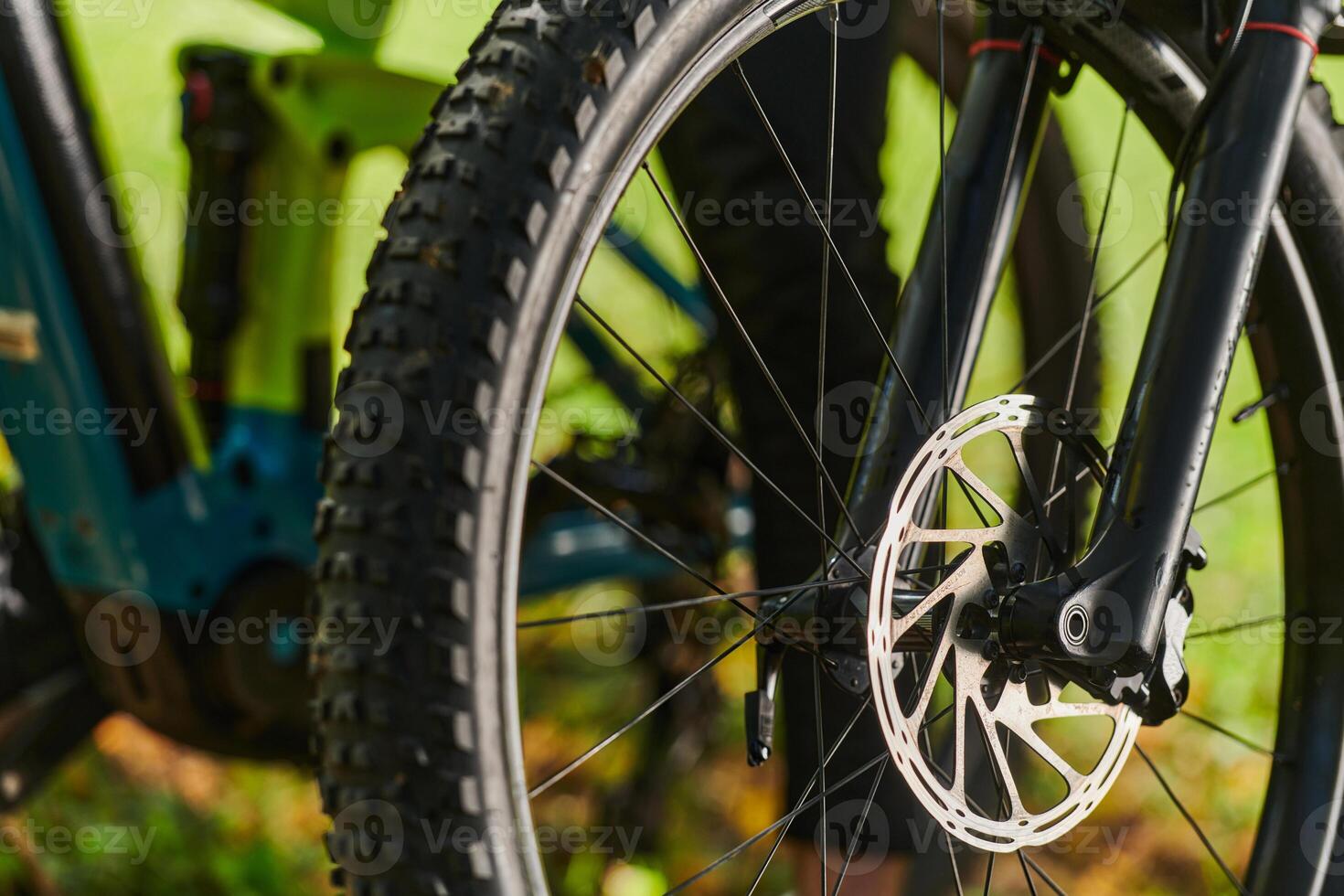 A sports bicycle races through the park, its components in focused motion spinning wheels, agile pedals, and sleek handlebars creating a dynamic spectacle of athleticism and speed against the backdrop photo