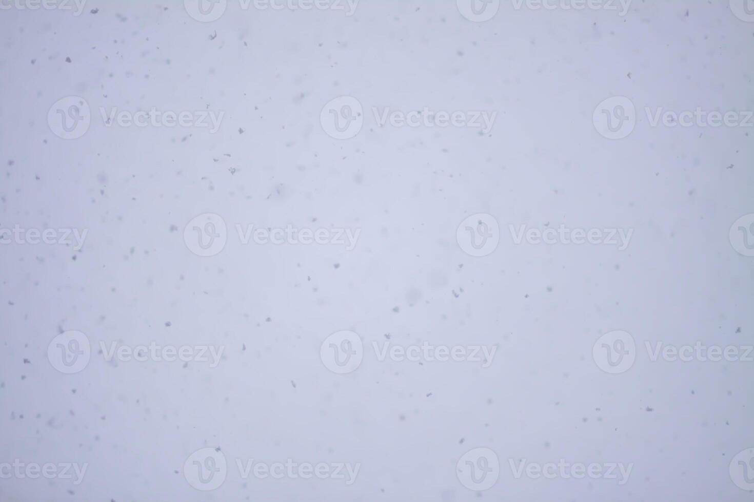 Blurred winter nature background. Snow overlay. photo